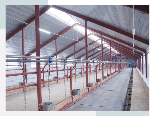 Строительство коровников в Сегеже от 624 руб.