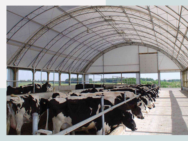 Тентовые коровники в Сегеже